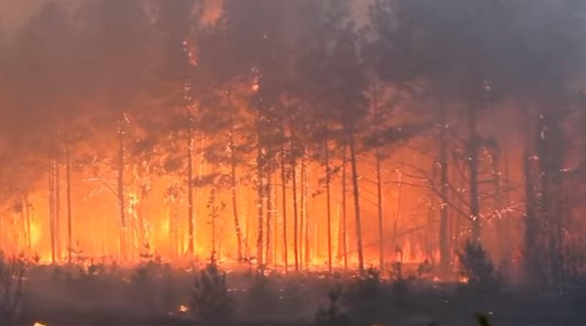 Δασική πυρκαγιά στην αποκλεισμένη ζώνη του Τσερνόμπιλ